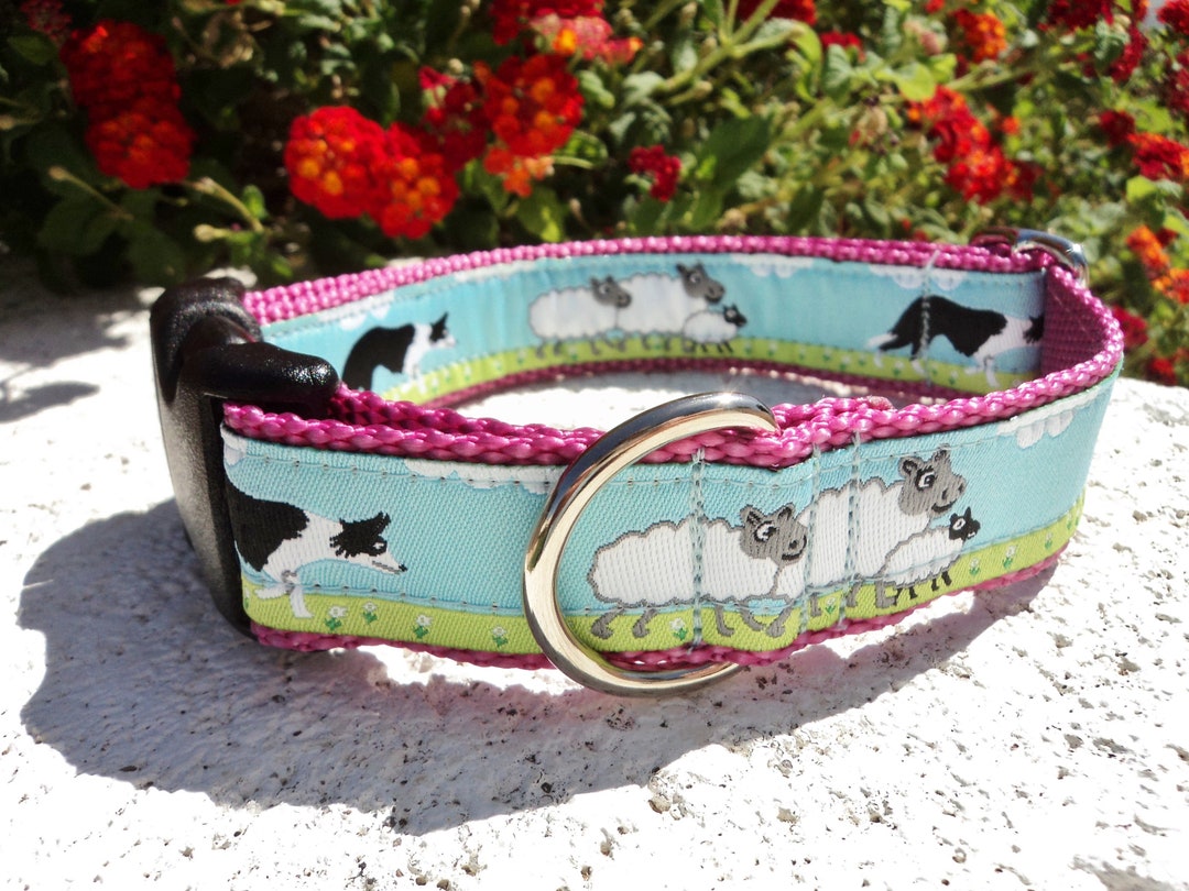 Dog Collar Herding Sheep Quick Release Dog Collar or Martingale Dog