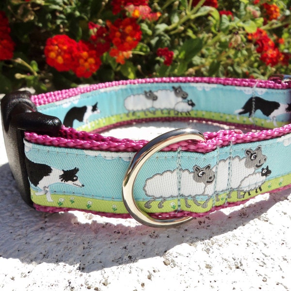 Border Collie Collar Etsy