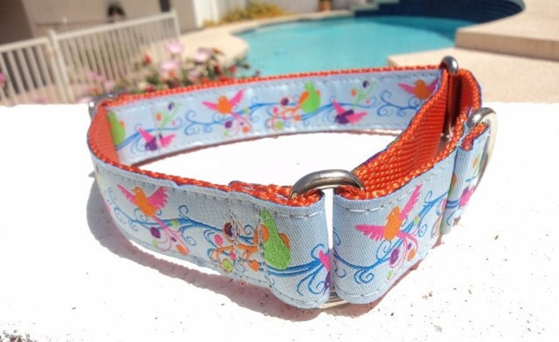 Dog Collar Quick Release Dog Collar or Martingale Dog Collar 1 width Fantasy Birds, sizes S XL image 4