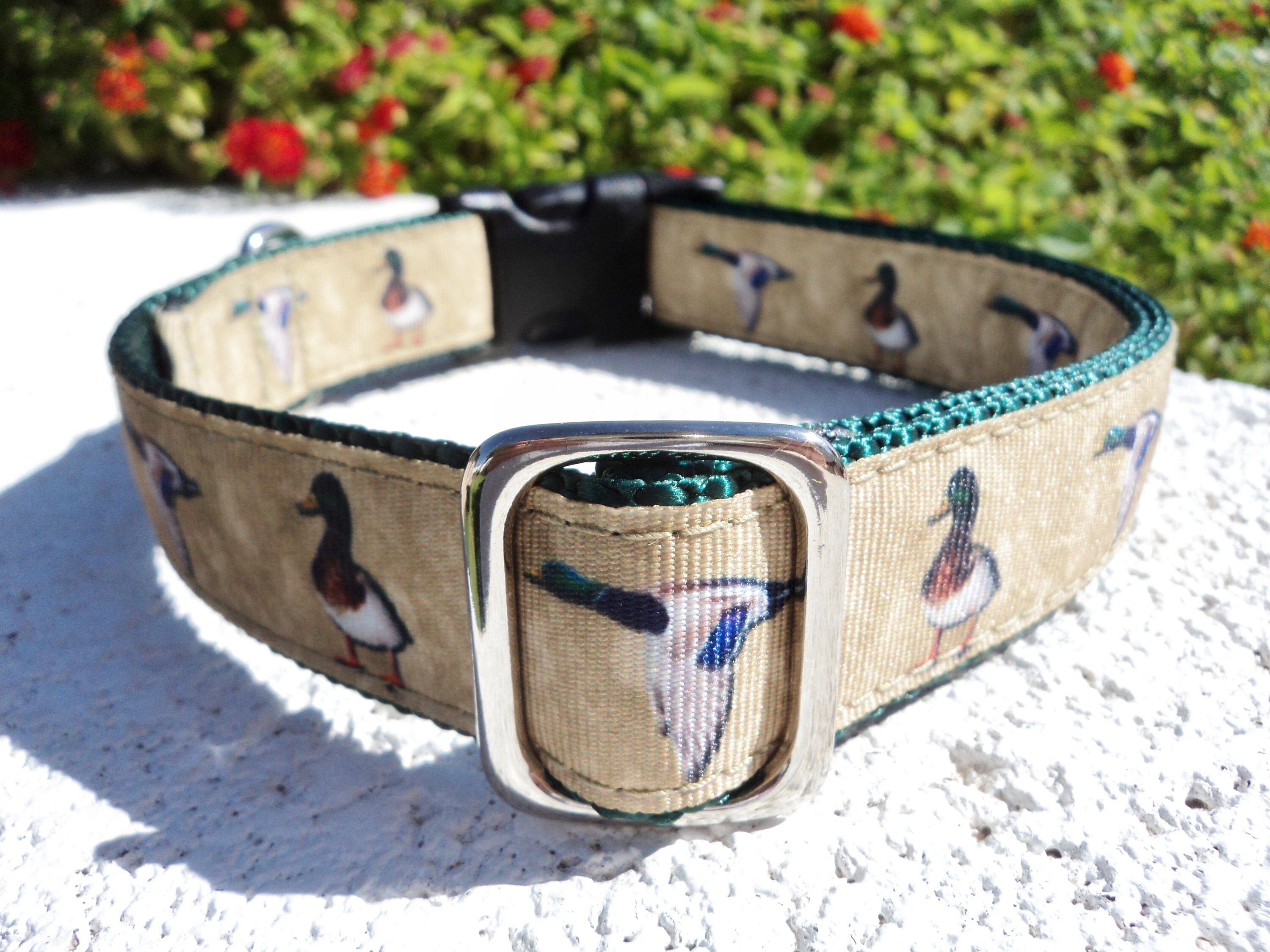Mallard Duck Dog Collar 1 Side Release or Etsy