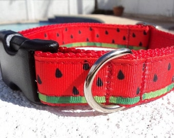 Dog Collar Quick Release dog collar or Martingale dog collar Watermelon, 1” width, custom made, sizes s - xl