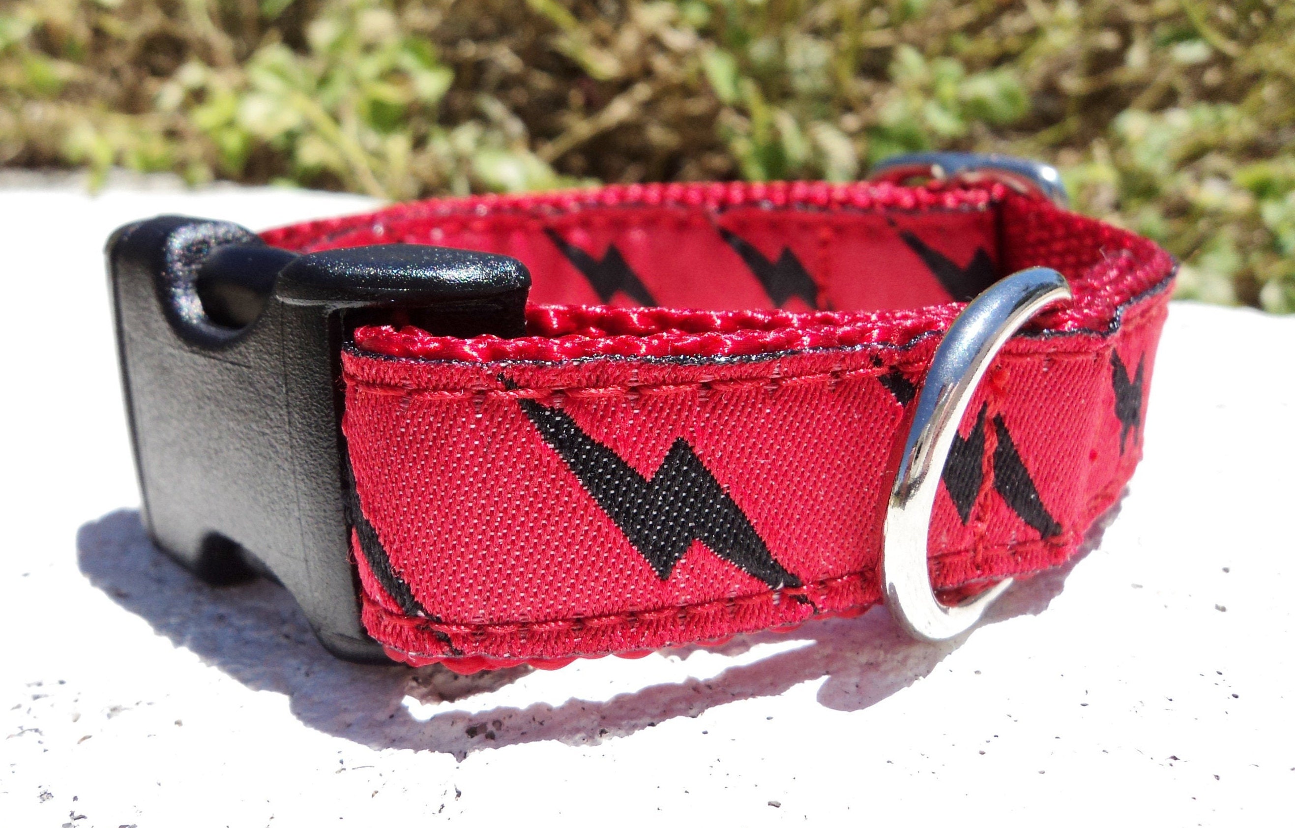 bolt dog collar