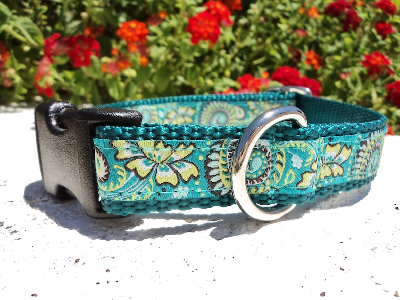 Dog Collar Quick Release dog collar Natures Ferns 3/4 width, S M sizes, no martingale in this collar image 1