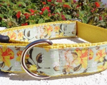 Dog Collar Quick Release Dog Collar or Martingale dog collar Daffodils, 1” width,  sizes S - XL