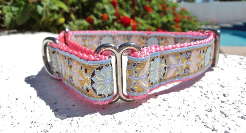 Dog Collar Rose Gold Zinnia Quick Release Dog Collar or Martingale Dog Collar, 3/4 or 1 width, sizes S L, image 4