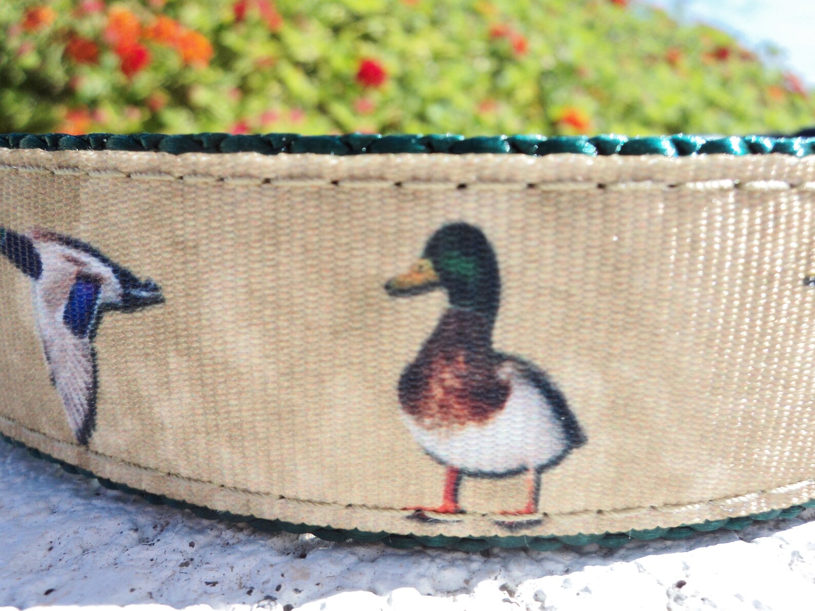 Duck Dog Collar 1 Side Release or Martingale collar | Etsy