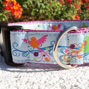 Dog Collar Quick Release Dog Collar or Martingale Dog Collar 1 width Fantasy Birds, sizes S XL image 3