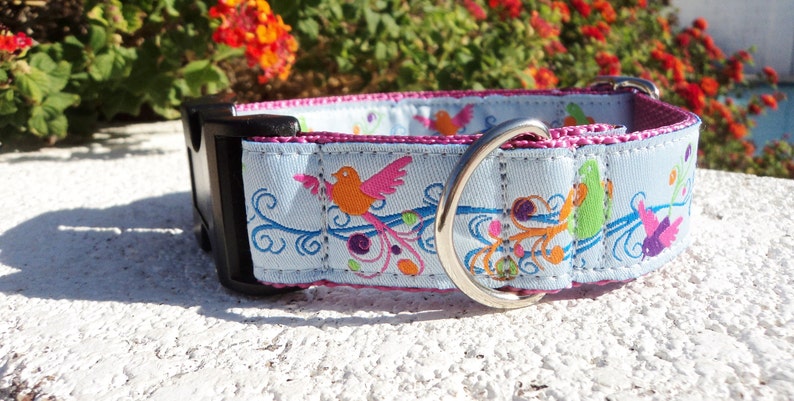 Dog Collar Quick Release Dog Collar or Martingale Dog Collar 1 width Fantasy Birds, sizes S XL image 3