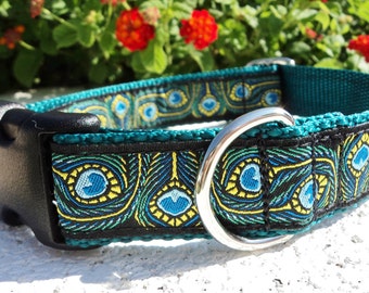 Peacock Dog Collar Quick Release Dog Collar or Martingale Dog Collar, 1” wide, Peacock, fully adjustable, sizes S - XXL