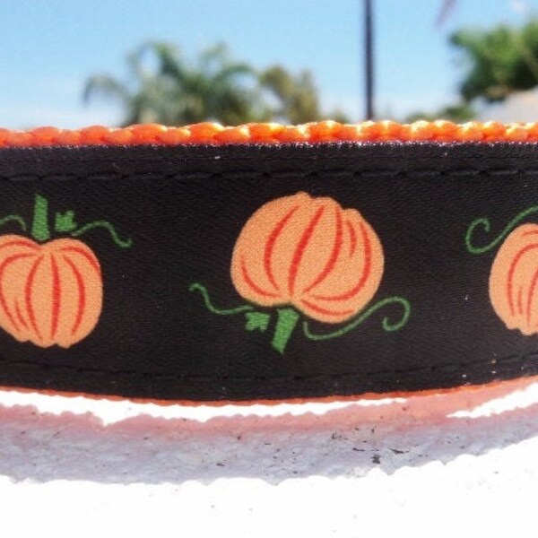 Fairy Tail Collar Etsy