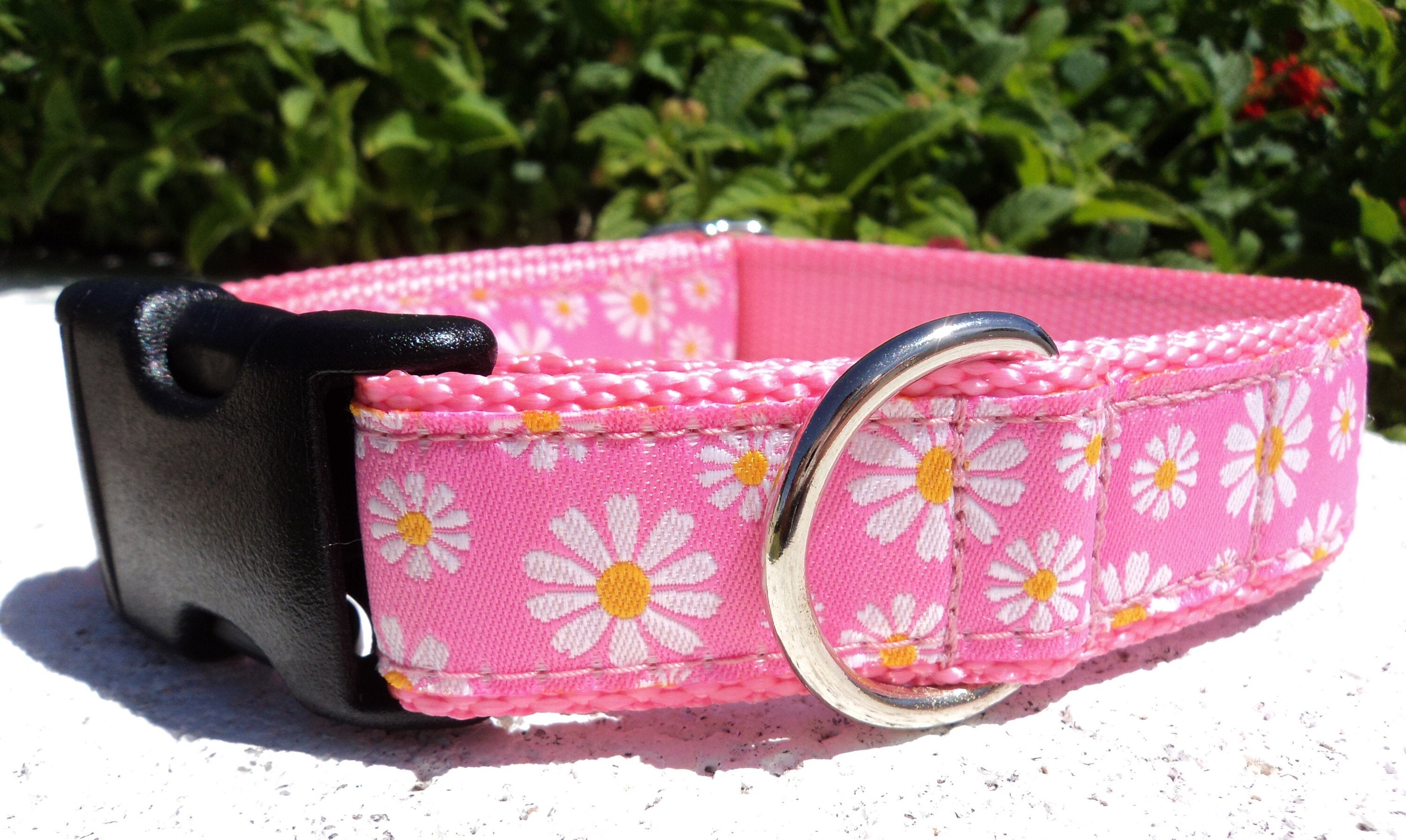 Girl Dog Collar 3/4 or 1 Flat Side Release Etsy
