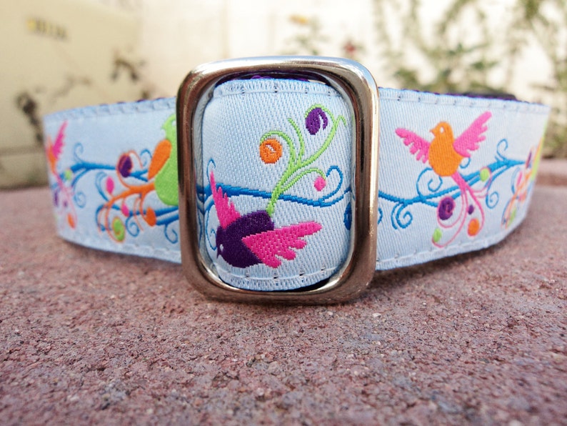 Dog Collar Quick Release Dog Collar or Martingale Dog Collar 1 width Fantasy Birds, sizes S XL image 5