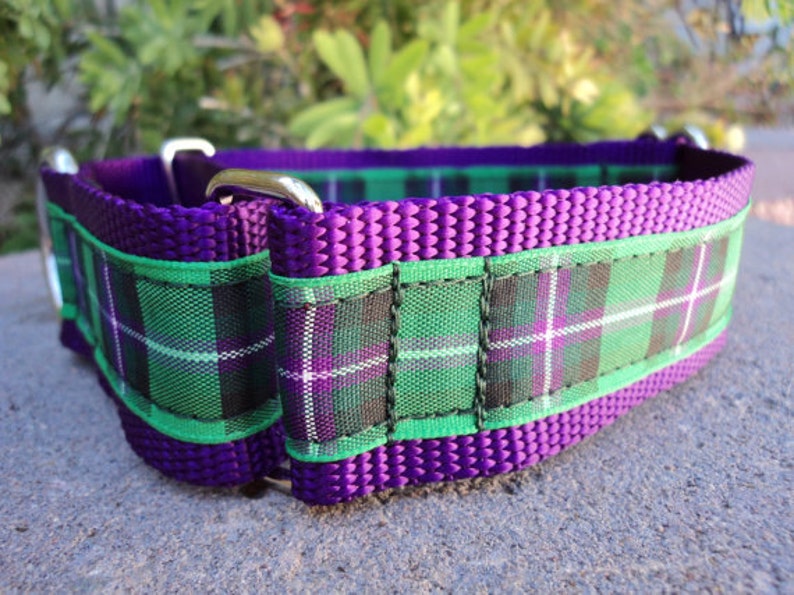 Giant Breed Dog Collar 1.5 width Quick Release or Etsy