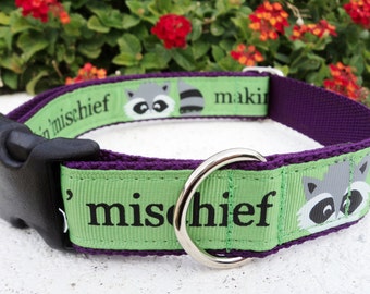 Dog Collar Quick Release Dog Collar, Making mischief, 1” width, no Martingales limited ribbon, sizes S - L+