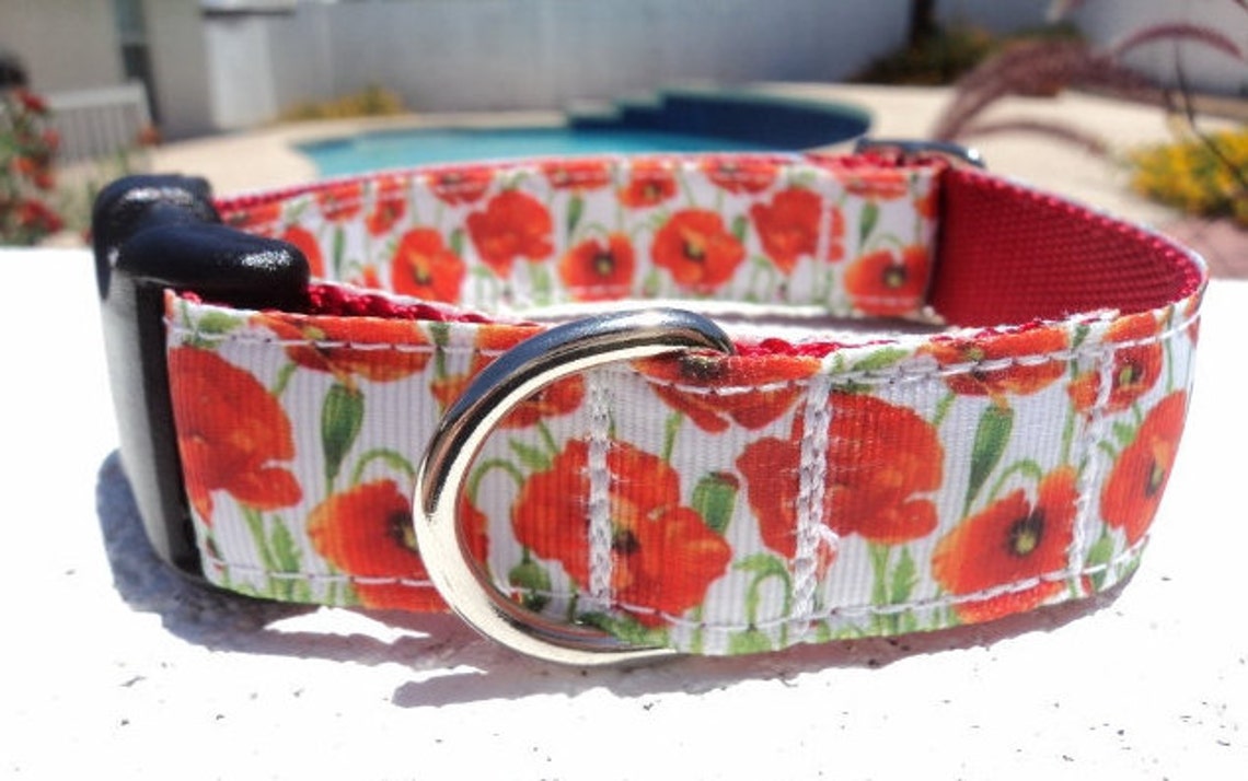 Red Poppy Dog collar 3/4 or 1 Side Release or Etsy