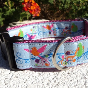 Dog Collar Quick Release Dog Collar or Martingale Dog Collar 1 width Fantasy Birds, sizes S XL image 6