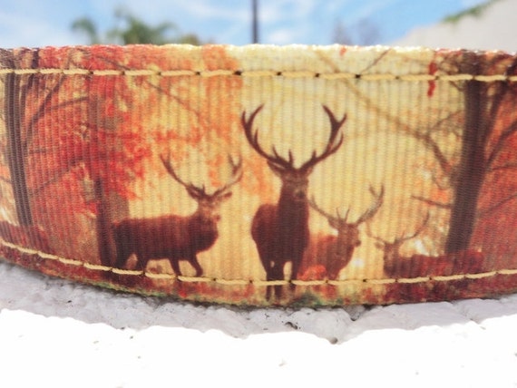 elk dog collar
