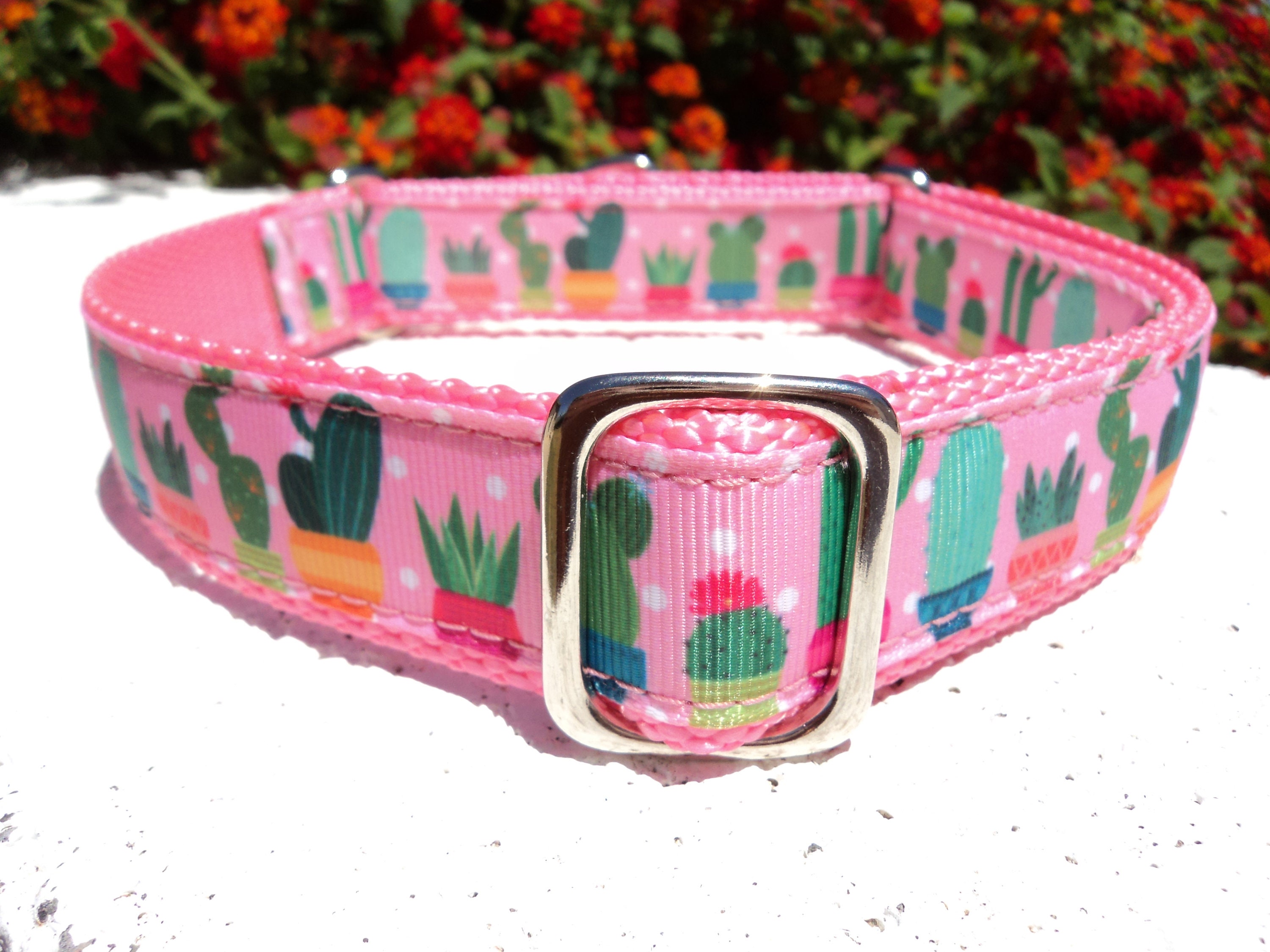 Cactus Dog collar 1 Quick Release collar or | Etsy