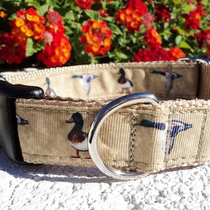 Dog Collar Mallard Ducks; Quick Release 1", sizes S - L+