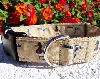 May include: A tan dog collar with a black buckle and a silver D-ring. The collar is decorated with a repeating pattern of ducks.