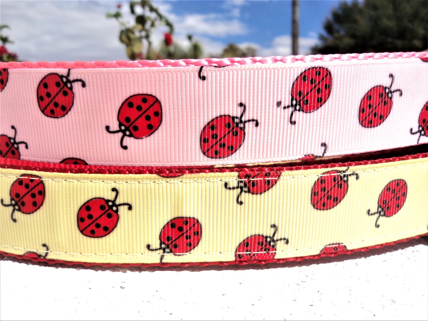 Sale Dog Collar Pink or Yellow Ladybug 1 wide quick Etsy