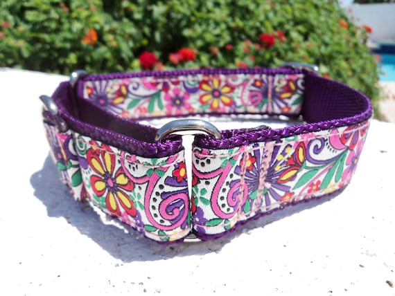 Atwoods hotsell shock collar