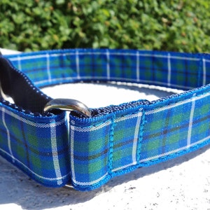 Dog Collar Douglas Tartan Quick Release buckle or Martingale 1&quot; wide, Scottish Tartan, Sizes S - XL