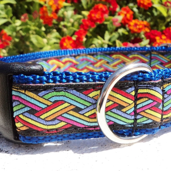 Celtic Knot Dog Collar Quick Release dog collar or Martingale dog collar, 1" width, adjustable sizes, Celtic Knot Rainbow, Irish, sizes S-XL