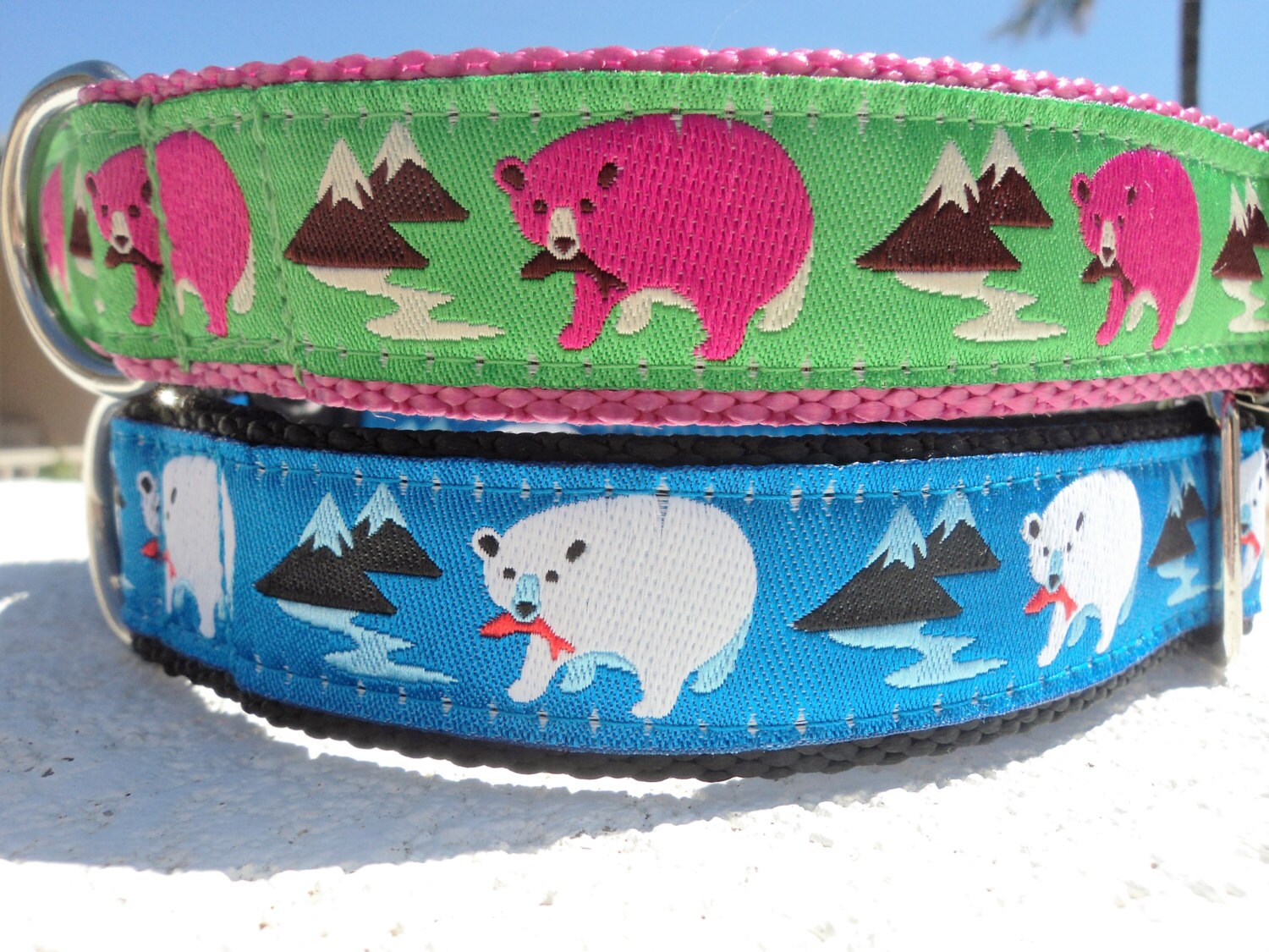 bear dog collar
