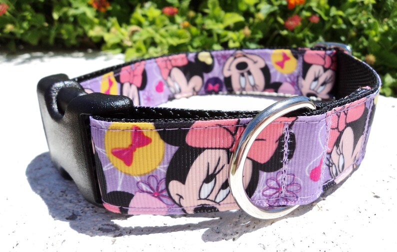Disney Dog collar 3/4 or 1 Quick Release Etsy