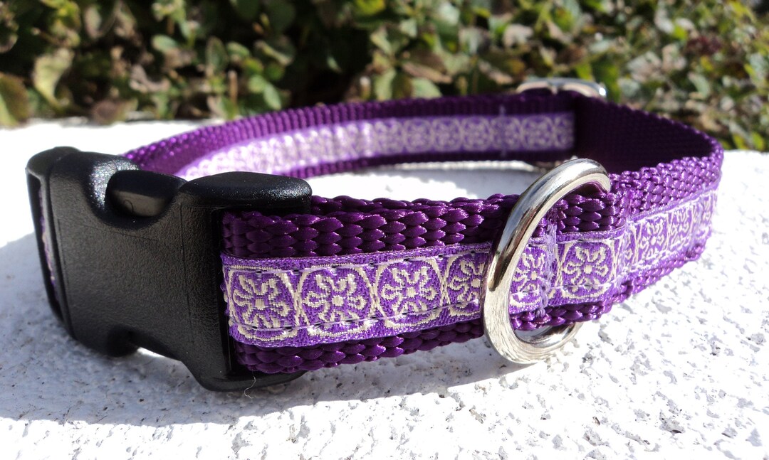 Dog Collar Quick Release Dog Collar or Martingale Dog Collar, 3/4