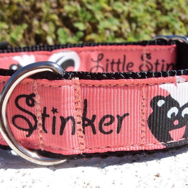 Dog Collar Quick Release Dog Collar Little Stinker, 1” width, sizes S - XL,