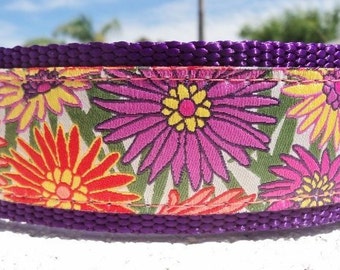 Martingale Dog collar 1” width in sizes; 18" or 20" or smaller custom martingale sizes, limited ribbon, S - M+