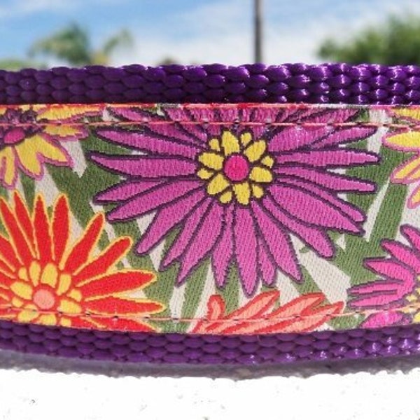 Martingale Dog collar 1” width in sizes; 18" or 20" or smaller custom martingale sizes, limited ribbon, S - M+