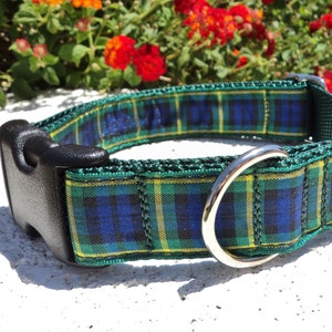Gordon Tartan Dog Collar Quick Release Dog Collar or Martingale dog collar, 1” width, Scottish dog collar, sizes S - XL
