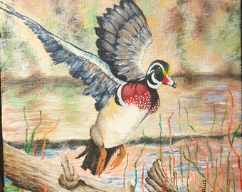 Wood Duck, original painting, 6x6 acrylic on canvas, small detailed artwork, by Dalia