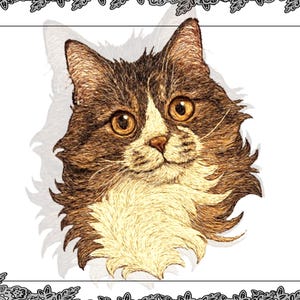 Op de afbeelding: Gedetailleerde illustratie van een kattenkop, met bruin en wit haar en grote, gele ogen. De vacht van de kat is zorgvuldig weergegeven, met textuur en diepte. De afbeelding is omlijst met een decoratieve rand.