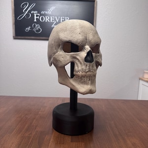 May include: A beige, textured skull mask with a black nasal cavity and visible teeth, mounted on a black vertical rod attached to a circular black base. The skull features deep eye sockets and a realistic bone-like finish, displayed upright.