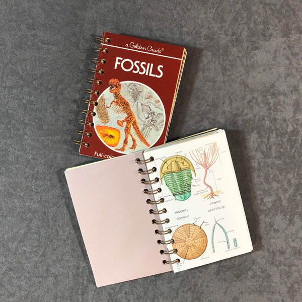Junk Journal: Fossils