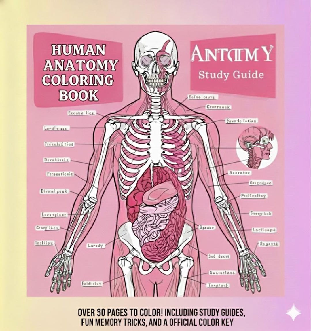 Color Key Anatomy Coloring Book for Students | Study Guide (printable ...