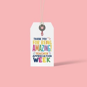 Peut inclure: Une &eacute;tiquette cadeau blanche avec le texte "THANK YOU FOR BEING AMAZING! TEACHER APPRECIATION WEEK" en lettrage color&eacute;. L'&eacute;tiquette est suspendue par une ficelle sur un fond rose.