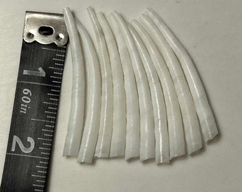 Dentalium Shell