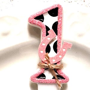 Cowgirl Birthday Candle: Glitter Horseshoe Cake Topper, Western Party