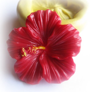 May include: A vibrant red hibiscus flower with yellow stamens. The flower has detailed petal textures and is set against a blurred, light green background, suggesting a mold or casting form. The image is brightly lit.