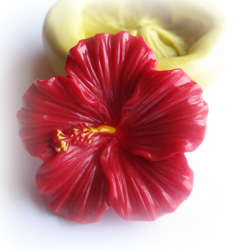 May include: A vibrant red hibiscus flower with yellow stamens. The flower has detailed petal textures and is set against a blurred, light green background, suggesting a mold or casting form. The image is brightly lit.