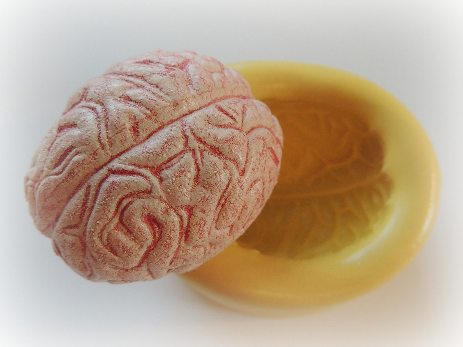 Small brains. Пластмассовый молд мозги. Resin Clay. Small Brain