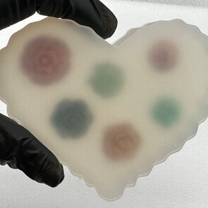 May include: A heart-shaped, translucent resin coaster with embedded floral designs in shades of red, green, and blue. The coaster is held by a gloved hand, showcasing its unique, handcrafted appearance. The coaster is approximately 4 inches wide.