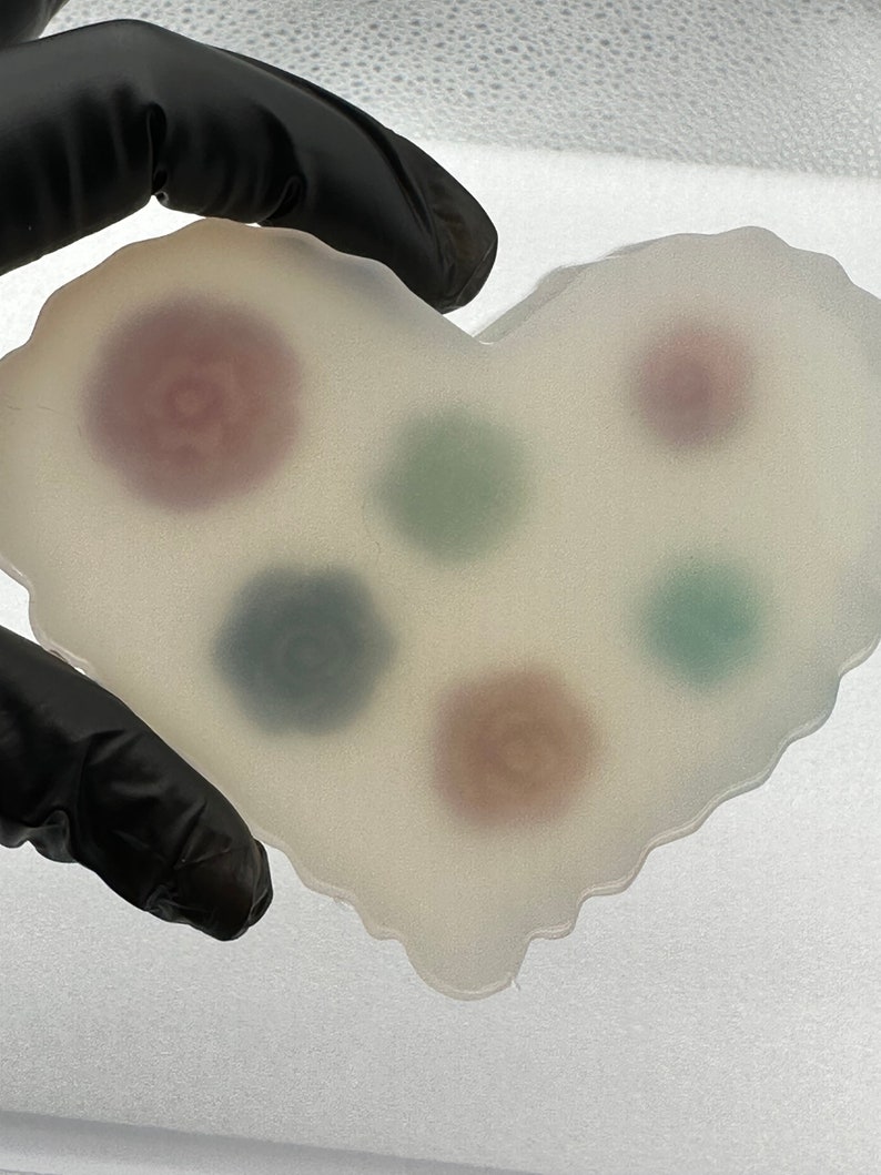 May include: A heart-shaped, translucent resin coaster with embedded floral designs in shades of red, green, and blue. The coaster is held by a gloved hand, showcasing its unique, handcrafted appearance. The coaster is approximately 4 inches wide.