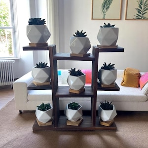 Wooden Tabletop Plant Shelf Holder for Succulent Herb - Rustic Wood Stand
