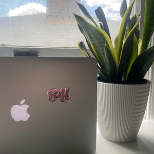 May include: A silver laptop computer with a pink and white sticker that says "B4L" on the lid. The laptop is sitting on a white surface next to a potted snake plant.
